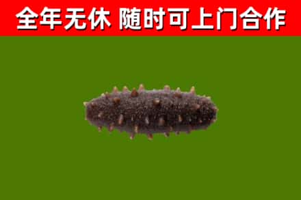 福州烟酒回收干海参.jpg